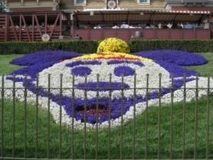 Disneyland flowers.preview