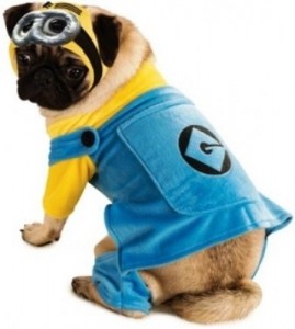 minion-dog-outfit