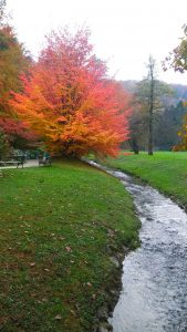 cudovita_jesen_smarjeske_toplice